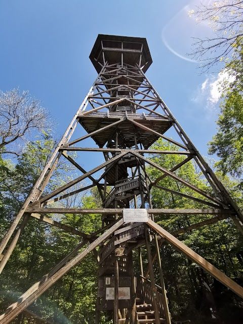 Wildnispark Zürich Sihlwald