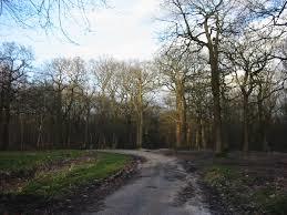 Fausses-Reposes Forest