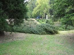 Parco ex INPS "Pietro D'Abano"