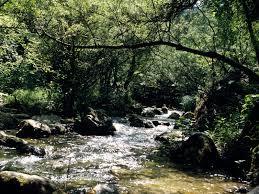 Riserva Regionale Zompo Lo Schioppo