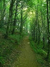 Parque natural de Pagoeta