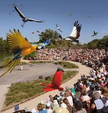 Parc des Oiseaux