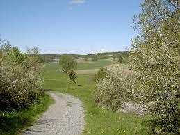 Näsuddens naturreservat