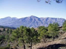 Sierra de Alcaparaín