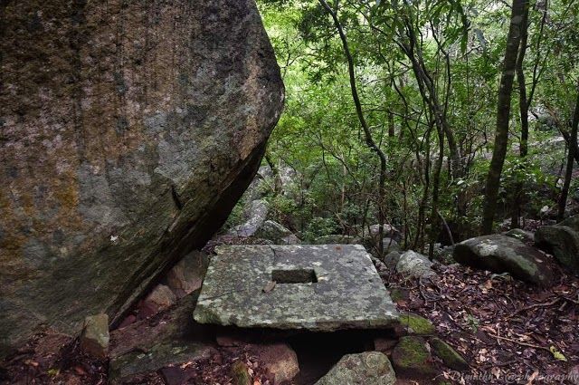 Ritigala Strict Natural Reserve