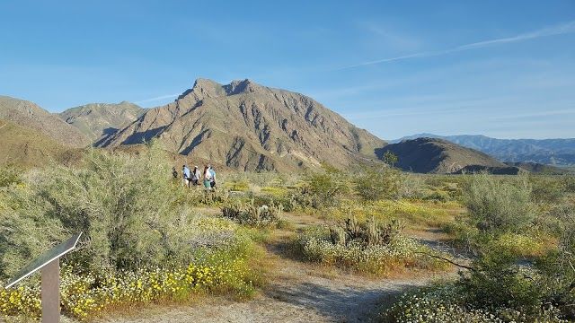 Anza-Borrego Desert State Park Visitor Center