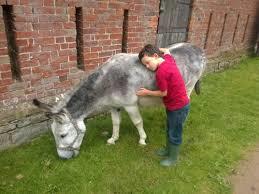 Acton Scott Historic Working Farm
