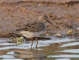 Venus Pool Nature Reserve