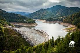 Dragan Volgyi Gyujtoto