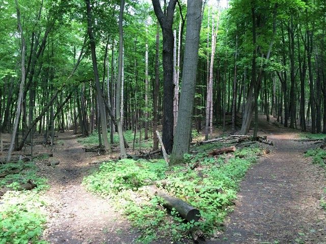 Bird Hills Nature Area