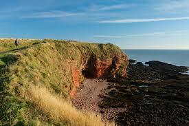 Seaton Cliffs Nature Reserve