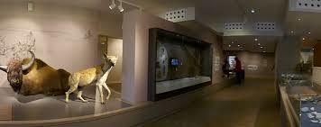 musée régional de Préhistoire