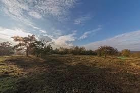 Reserve naturelle nationale de la pointe de Givet
