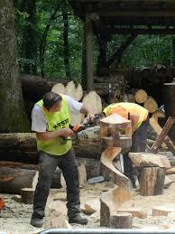 Musée de la Forêt de Renwez