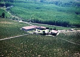 Bodegas Amezola de la Mora