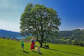 Naturpark Attersee-Traunsee
