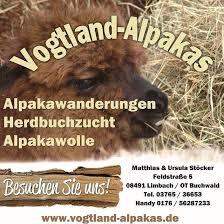 Vogtland Alpakas