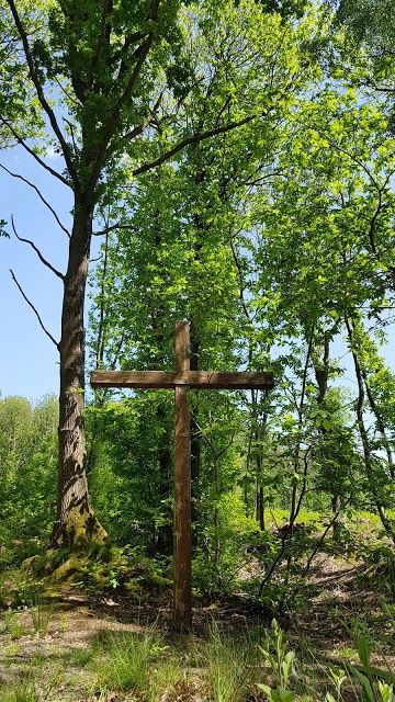 Forêt Domaniale de Montmorency