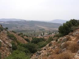 Nachal Kamon