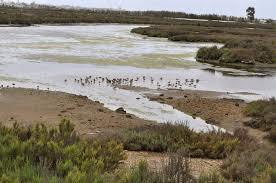 Parc naturel Marismas de Isla Cristina