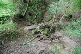 Vallon des Chantoirs