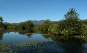 Riserva Naturale Palude Brabbia