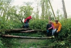 Staatsbosbeheer Wandelroute Stulp