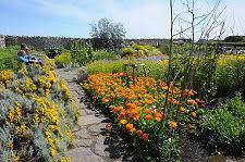 Gertude Jekyll's Garden