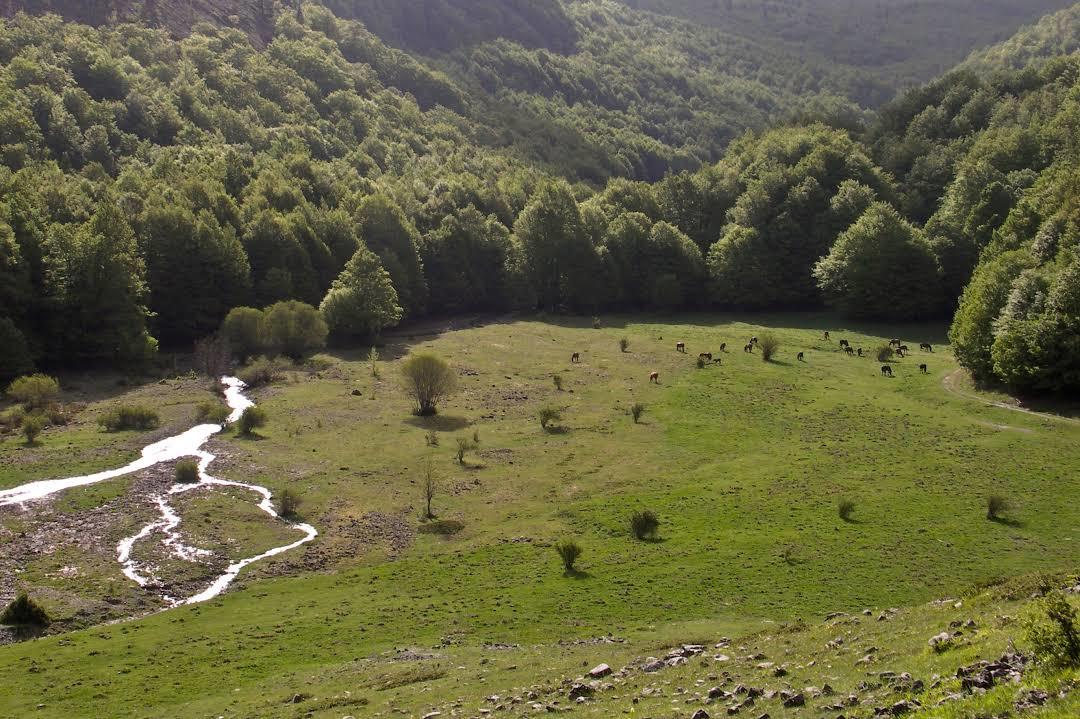 Parco Nazionale del Pollino