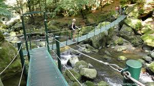 die Wildbachklamm Buchberger Leite