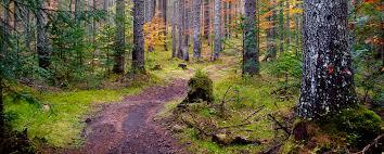 Riserva Statale Somadida