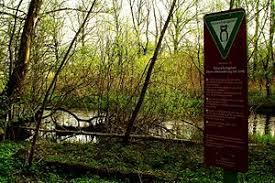 Obere Allerniederung bei Celle