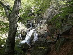 Cascades d'Orgon