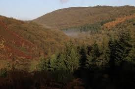 East Dartmoor National Nature Reserve