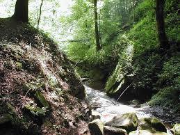 Wolfschlucht