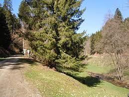 Kollbachtal mit Seitentalern