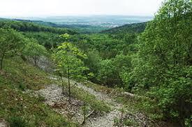 Bergrutsch am Hirschkopf
