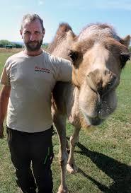 Albkamele Tiererlebnishof