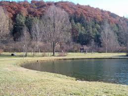 Lauchertsee