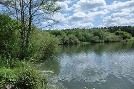 Sauldorfer Baggerseen