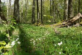 Nöttinger Viehweide und Badertaferl