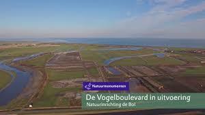Drijvers Vogelweid De Bol