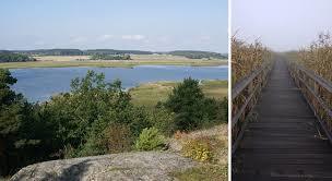 Hjälstavikens naturreservat
