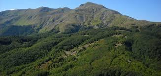 Parco regionale dell'Alto Appennino Reggiano