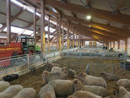 Schaapskooi Bargerveen