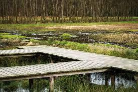 Vlonderpad Landgoed Tongeren