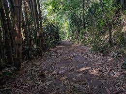 Trilha da Pedra Bonita