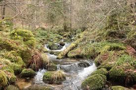 Albtal und Seitentäler