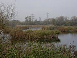 River Lee Country Park