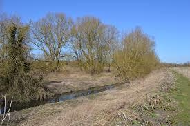 Thorley Wash nature reserve